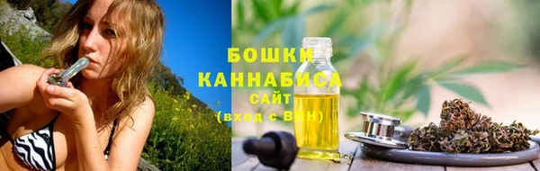 мет Гусев