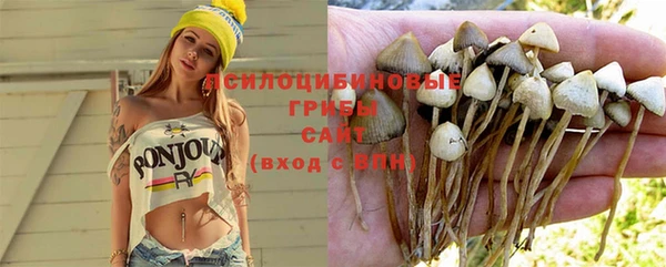 дурь Гусь-Хрустальный