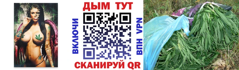 Купить закладки  Старый Крым  Шишки марихуана Ganja 